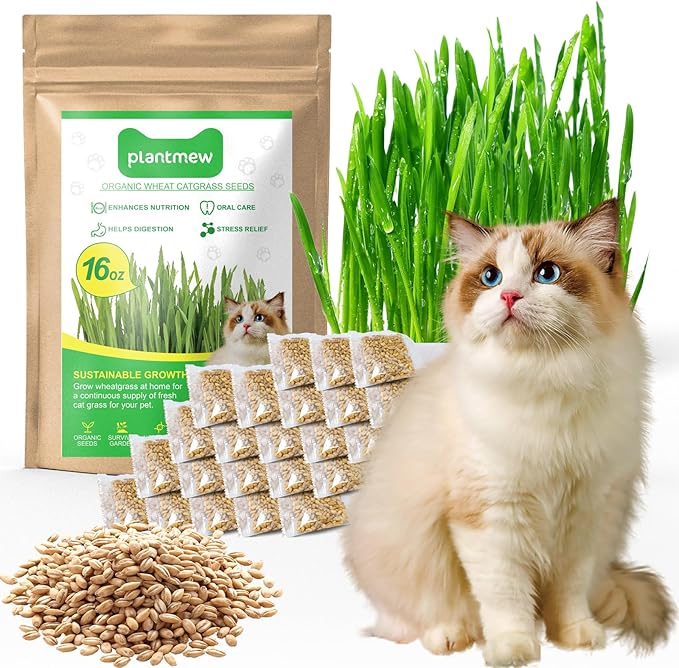 1 Pound Non-GMO Organic Wheat Cat Grass Seeds - Individual Packets for Easy Planting and Storage - Heirloom Oat Barley Blend for Indoor Cats