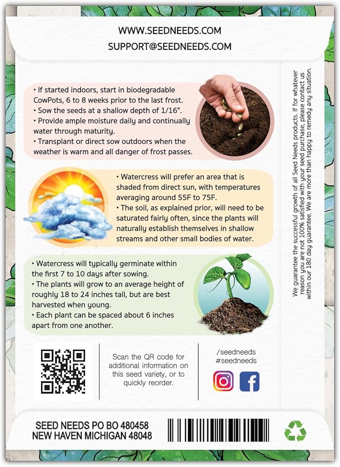 Seed Needs Watercress Seeds for Planting - Non-GMO, Heirloom & Untreated - Organically Grow Your own Culinary Herb Garden Indoors or Outdoors (2 Packs)