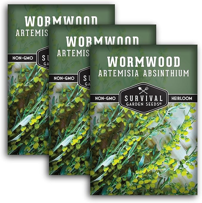 Wormwood Seeds for Planting - 3 Packets with Instructions to Plant and Grow Beneficial Medicinal Herbs in Your Home Herb Garden - Non-GMO Heirloom Variety - Survival Garden Seeds