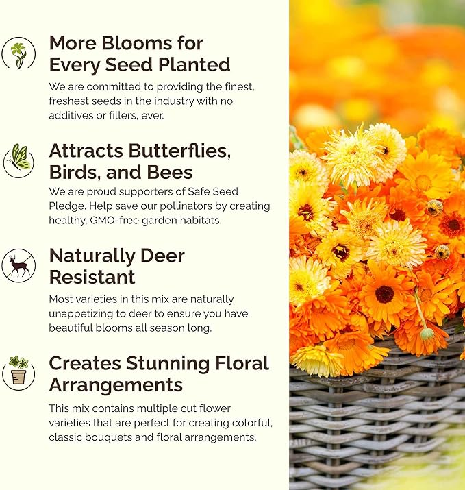 Eden Brothers Partial Shade Wildflower Mixed Seeds for Planting, 10 lb, 4,800,000+ Seeds with Sweet William, Foxglove | Attracts Pollinators, Plant in Spring or Fall, Zones 3, 4, 5, 6, 7, 8, 9, 10