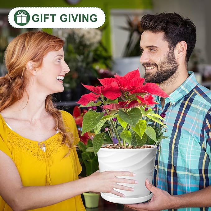 8 Inch Plant Pot, Ceramic Planter with Drainage and Saucer, Ceramic Pots for Plants, Indoor Plant pots,Succulent Orchid Flower Pot(Pure White)