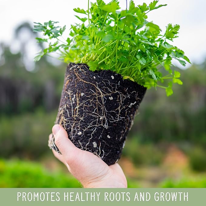 Horticultural Perlite Soil Additive (1 Quart); for Enhanced Potting Mix Drainage and Growth