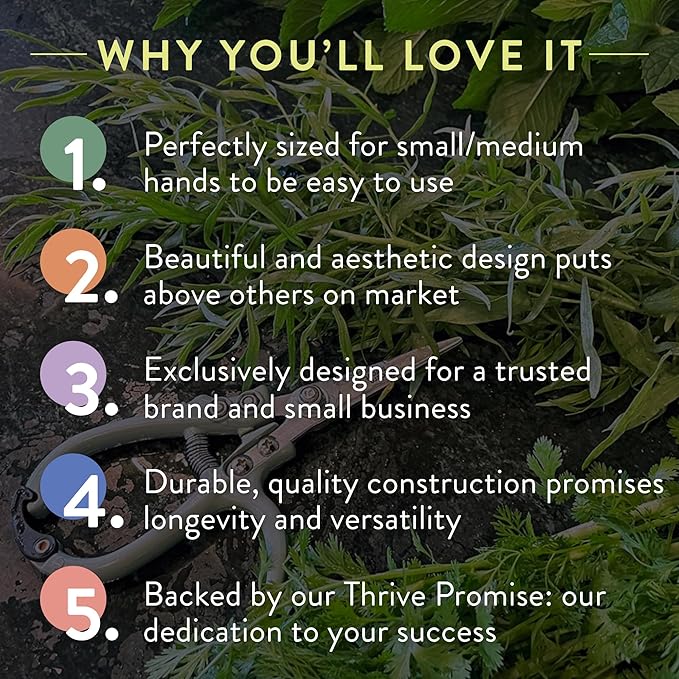 Modern Sprout Gardening Shears & Pruners 2-pack, Lightweight, Durable, Green, One Size (Sage)