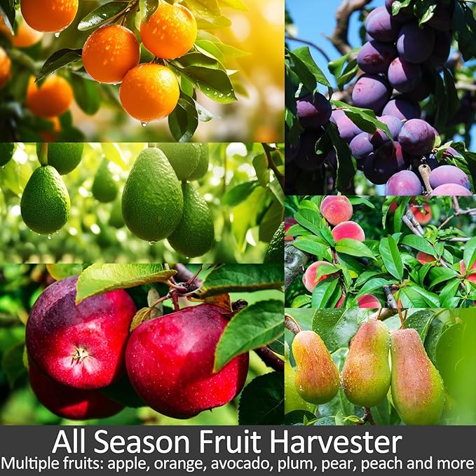 Fruit Picker Pole with Basket Telescopic Pole, 10ft Extendable Fruit Catcher Picking Pole Garden Tools for Picking Fruit from High Apple Cherry Orange Mango Fig Lemon Avocado Fruit Trees