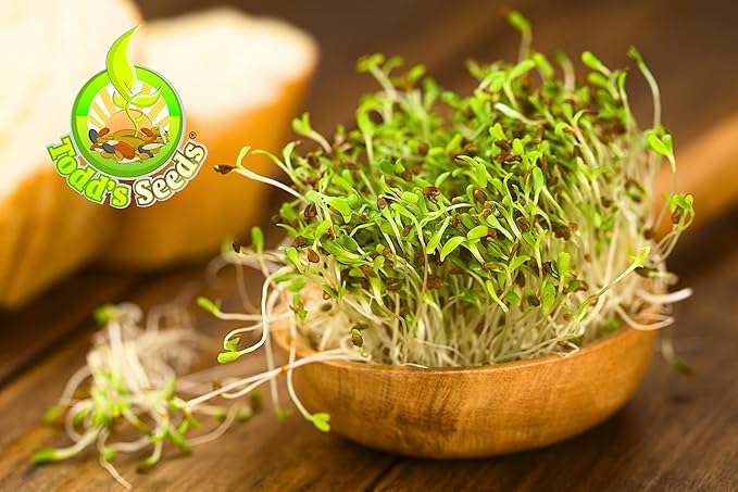 Todd’s Seeds - Alfalfa Seeds - 16 Oz Bulk Alfalfa Sprouting Seeds - Resealable Bag - Highest Germination - Non-GMO, Chemical Free (Better than Organic!) - Perfect for Home Gardening and Healthy Eating