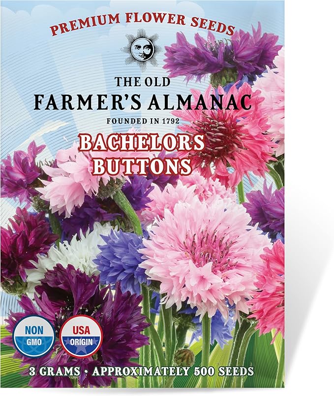 The Old Farmer's Almanac Bachelors Buttons Seeds - Approx 500 Flower Seeds - Non-GMO, Premium, Open Pollinated