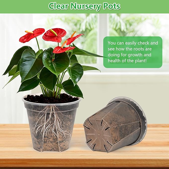 5 Sets 8 Inch Transparent Plastic Garden Pots Planter with Saucer Plant Planter Drainage Hole Plastic Pots for Plants Indoor and Out Door House Plants with 10pcs Plant Labels