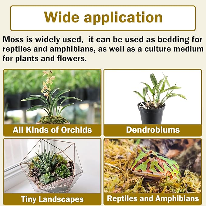 Hourleey 10.6 oz Sphagnum Moss for Plants, Premium Natural Long Fibered Dried Moss Potting, Sphagnum Peat Moss Bulk for Orchids Succulent Carnivorous Potted Plant Reptiles Medium Sarracenia