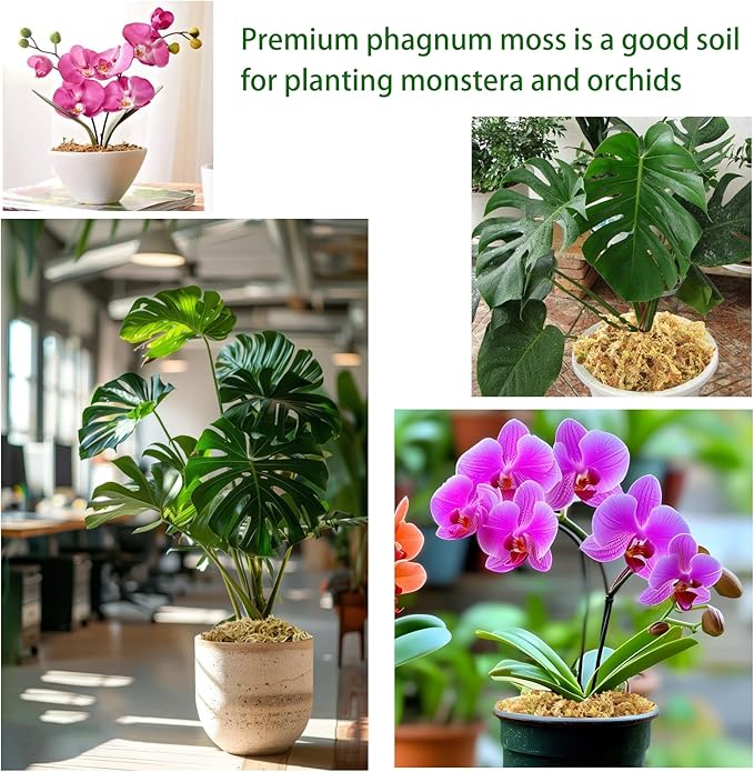 4oz Premium Sphagnum Moss Potting Mix, Plants Moss Dried Plant Growing Medium for Orchid Monstera (Appx 5 QT)