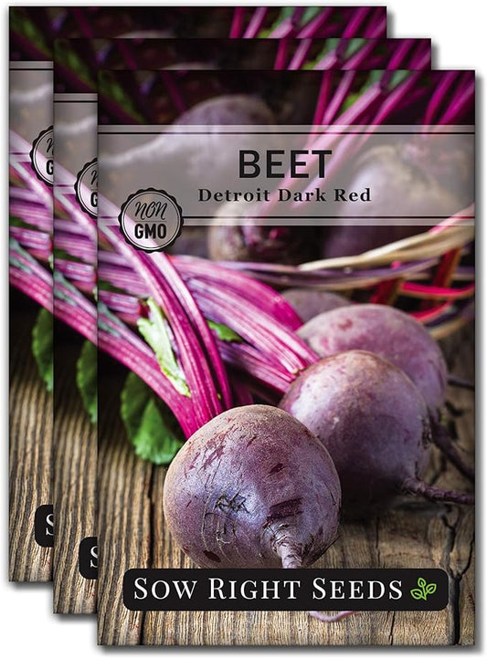 Sow Right Seeds - Detroit Dark Red Beet Seeds for Planting - Non-GMO Heirloom Packet with Instructions to Plant & Grow an Outdoor Home Vegetable Garden - Nutritious, Cold Hardy, and Productive (3)