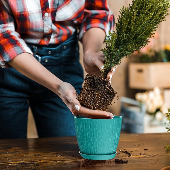 6 inch Plant pots, 12 Pack Modern Plastic Planters with Drainage Holes and Saucers for Repotting Indoor Plants and Flowers, Blue