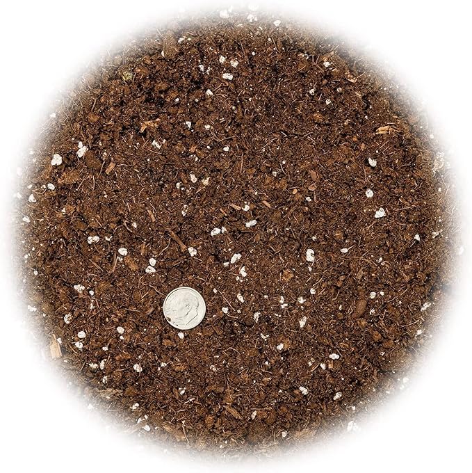 Premium Bamboo Potting Soil Mix - (1 Quart Bag)