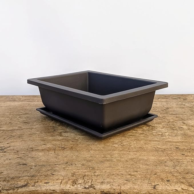 Bonsai Outlet Training Pots with Humidity Trays - Built in Mesh, Brown 8-Inch Large Planters + Made from Durable Shatter Proof Poly-Resin, Set of 3 Pot Set