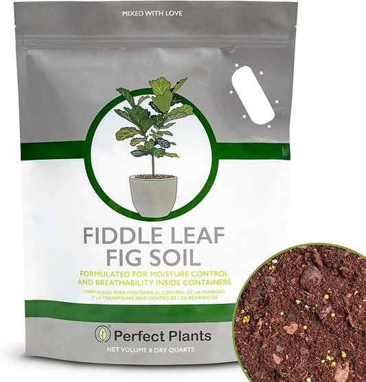 Fiddle Leaf Fig Soil by Perfect Plants 8QTS, Premium Professional Blend for All Fiddle Leaf Figs