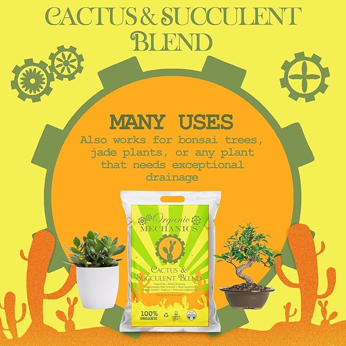 Cactus and Succulent Blend Potting Soil, 2 Quarts (Pack of 10) - Enhances Root Growth & Water Drainage with Biochar, Rice Hulls, and Worm Castings - Peat-Free & Eco-Friendly