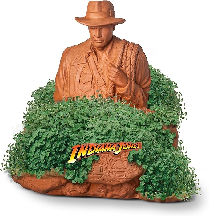 Chia Pet Indiana Jones with Seed Pack, Decorative Pottery Planter, Easy to Do and Fun to Grow, Novelty Gift, Perfect for Any Occasion