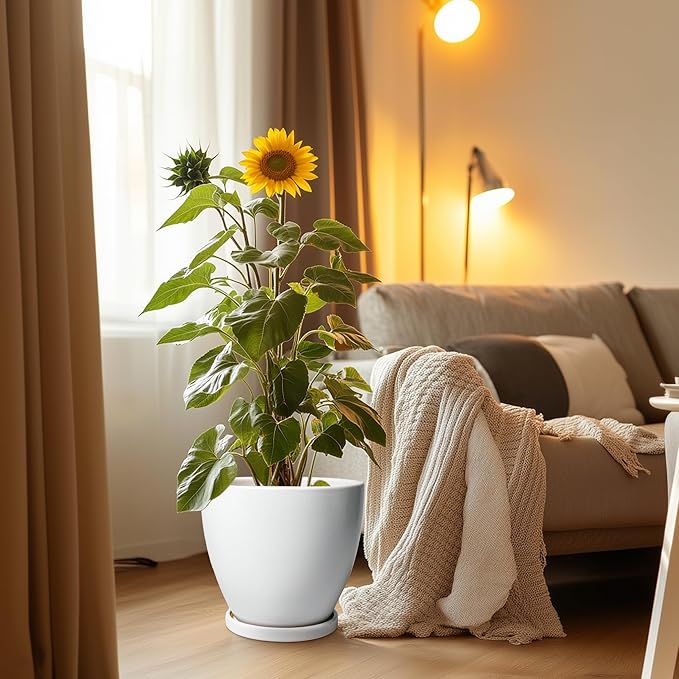 Ceramic Planter - 10 Inch Plant Pot with Drainage Hole and Tray, Flower Pot Planters for Indoor Plants, Modern Room Garden Patio Bathroom Living Room Porch Home Decor， White