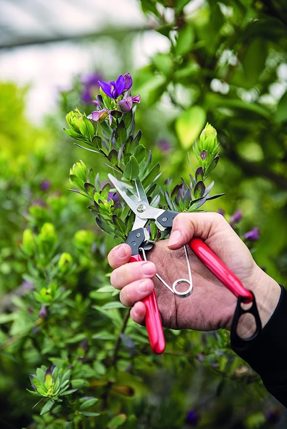 FELCO F-2 Classic Hand Pruner and FELCO 322 Snips