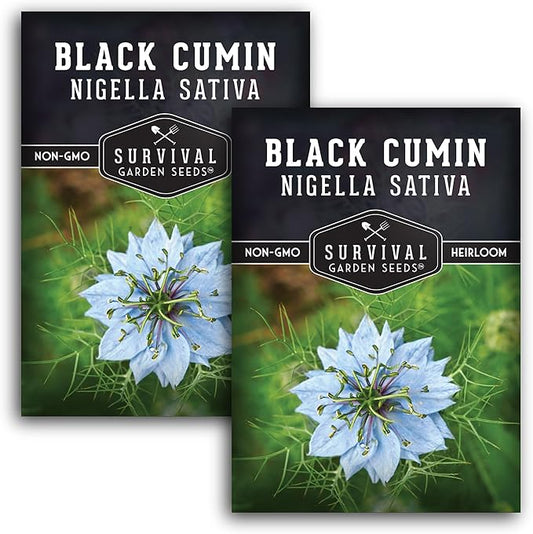 Black Cumin Seed for Planting - 2 Packets with Instructions to Plant and Grow Beneficial Nigella Sativa Plants in Your Home Vegetable Garden - Non-GMO Heirloom Variety - Survival Garden Seeds