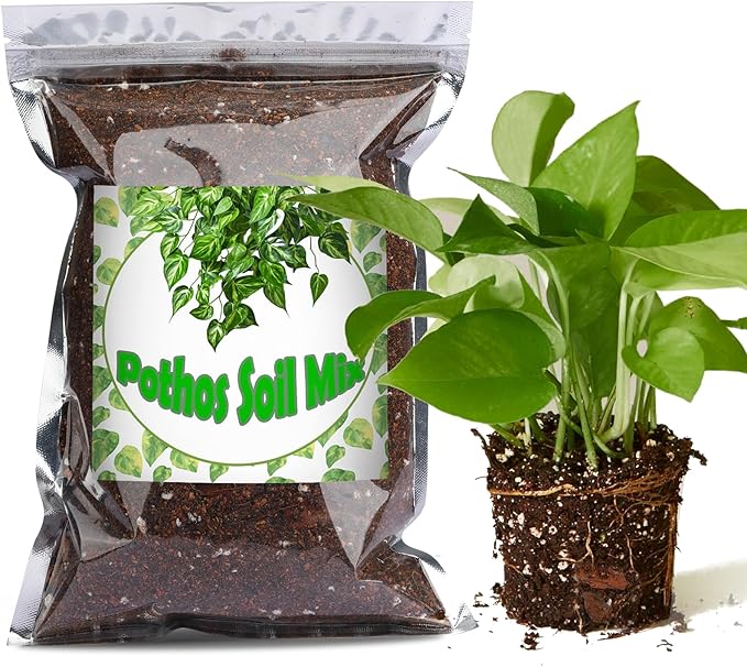 Organic Pothos Soil Mix 1qt, Indoor Plants Potting Mix for All Potted Pothos, Grow Healthy houseplants Indoors