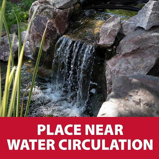 The Pond Guy Straw Barley Bale for Water Gardens, Fountains & Small Koi Ponds, Natural Clarifier, Simple & Easy to Use Pond Maintenance, 1-Pound Bale