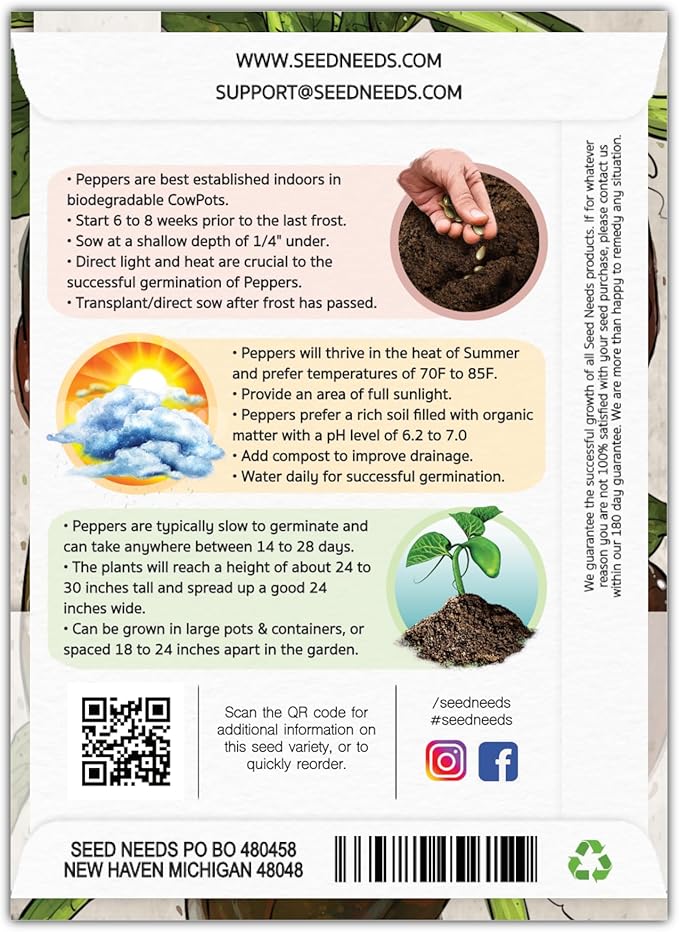 Seed Needs, Chocolate Habanero Pepper Seeds - 60 Heirloom Seeds for Planting Capsicum chinense - 100,000 to 350,000 Scoville Units, Non-GMO & Untreated (5 Packs)