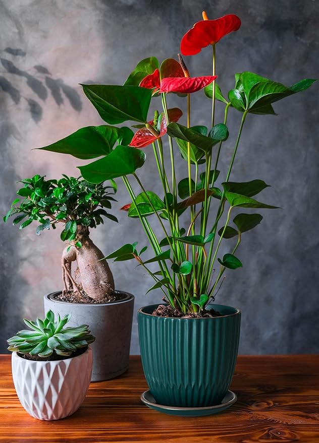 D'vine Dev Set of 2 Stoneware Planter Pots, Ceramic Pot with Drainage Hole and Saucers, 4.5 Inch 5.8 Inch, Dark Blue Green, 99-D-4