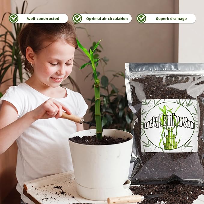Premium Lucky bamboo Soil Mix 4qt, Indoor Plants Potting Mix for All Potted Luncky bamboo, Promote Healthy Growth and Longevity