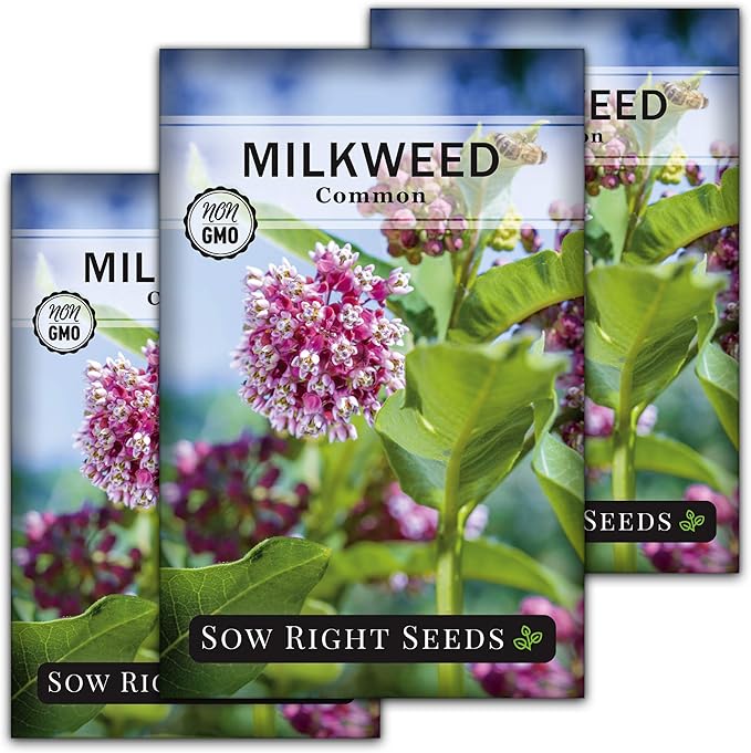 Sow Right Seeds - Common Milkweed Seeds for Planting - Attract Monarch Butterflies to Your Garden - Non-GMO Heirloom Seed Packet with Full Instructions to Plant - Perennial Plant for Pollinators (3)
