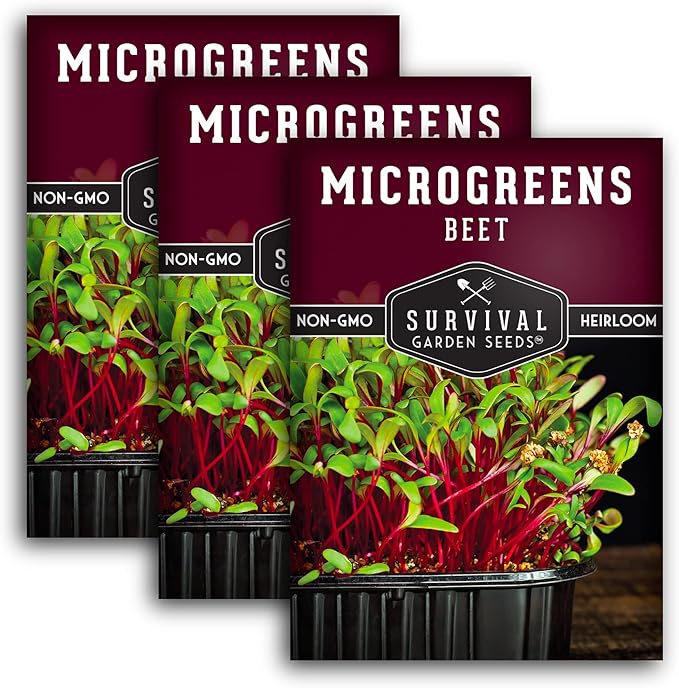 3 Packs Beet Microgreens Seeds for Sprouting and Growing - Sprout Green Leafy Micro Vegetable Plants Indoors - Grow Your Own Mini Windowsill Garden - Non-GMO Heirloom - Survival Garden Seeds