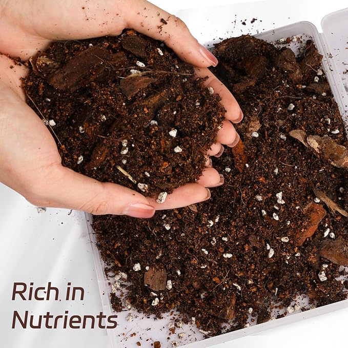 Organic Money Tree Soil Mix 2qt, Indoor Plants Potting Mix for All Potted Money Tree, Grow Healthy houseplants Indoors