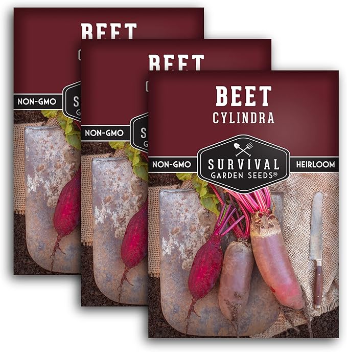 Survival Garden Seeds - Cylindra Beet Seed for Planting - 3 Packs with Instructions to Plant & Grow Dark Red Beets in Your Home Vegetable Garden - Non-GMO Heirloom Variety Vegetable Seed Planting