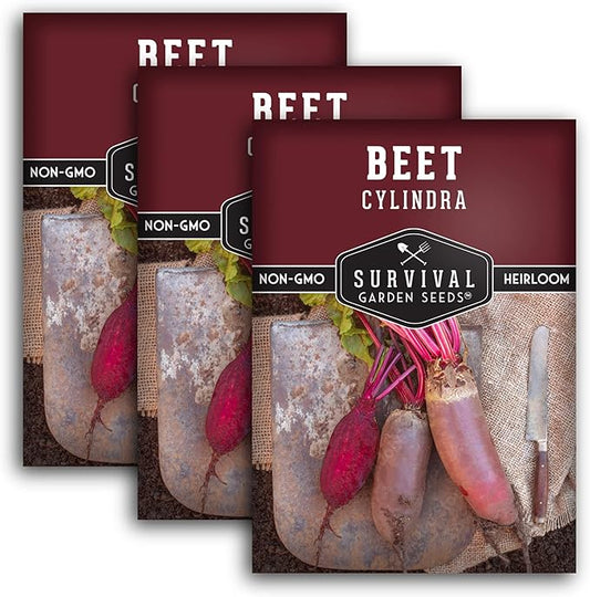 Survival Garden Seeds - Cylindra Beet Seed for Planting - 3 Packs with Instructions to Plant & Grow Dark Red Beets in Your Home Vegetable Garden - Non-GMO Heirloom Variety Vegetable Seed Planting