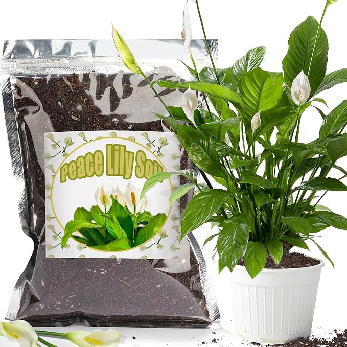 Organic Peace Lily Soil Mix 10qt, Indoor Plants Potting Mix for Planting, Growing, or Repotting Peace Lily Plants, Grow Healthy houseplants Indoors