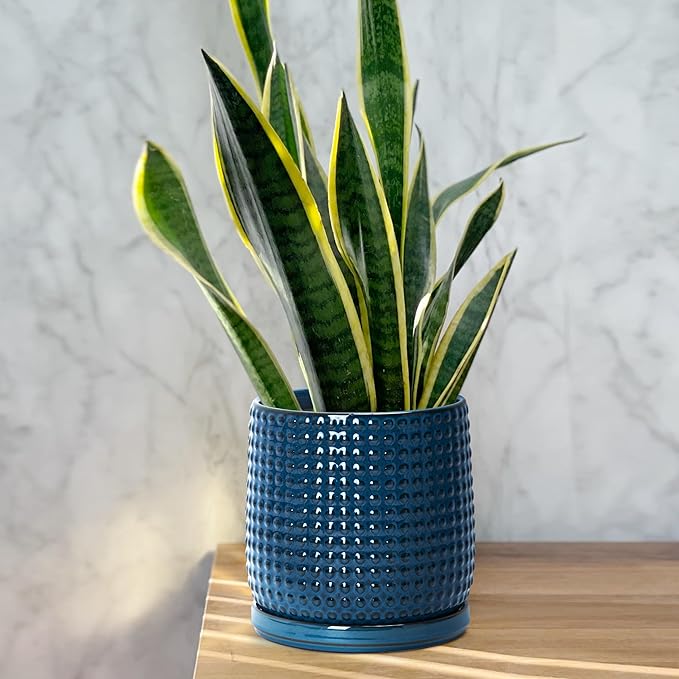 D'vine Dev 6 Inch Ceramic Beaded Stoneware Planter Pot - Flower Pot with Drainage Holes and Saucers for Indoor Succulent Plants or Flowers, Blue, 27-C-X-3