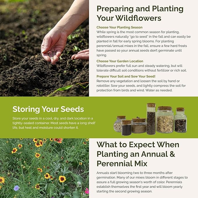 Eden Brothers Florida Wildflower Mixed Seeds for Planting, 5 lb, 2,400,000+ Seeds with Cornflower, Cosmos, African Daisy | Attracts Pollinators, Plant in Spring or Fall, Zones 3, 4, 5, 6, 7, 8, 9, 10