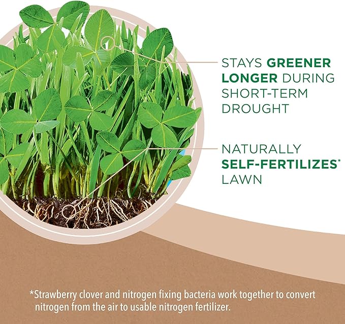 Scotts Turf Builder Clover Lawn, Greener Lawn with Less Maintenance, 2 lbs., 4-Pack