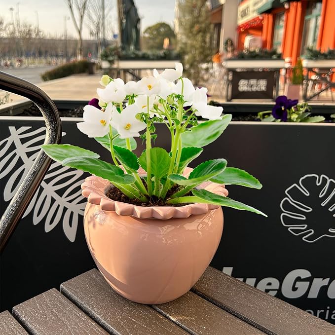 Self Watering African Violet Flower Pot - Pink Ceramic Pot Maintenance, Indoor Plant Self Watering Seeder - 6.5 * 4.6 Inch High Absorption Plant Inner Flower Pot