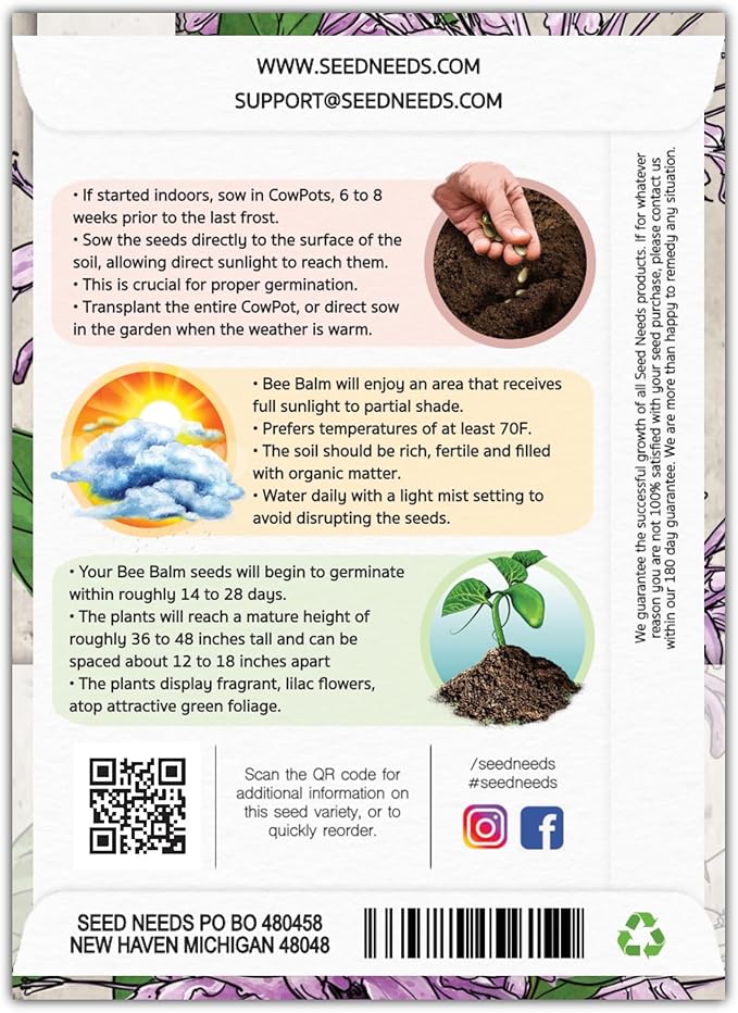 Seed Needs, Wild Bergamot Bee Balm Seeds - 400 Heirloom Seeds for Planting Monarda fistulosa - Attracts Honeybees, Bumblebees, Butterflies & Other Pollinators (2 Packs)