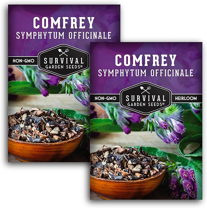 Survival Garden Seeds Comfrey Seed for Planting - 2 Packets with Instructions to Plant and Grow Slippery Root Plants in Your Home Herb Garden - Symphytum officinale - Non-GMO Heirloom Seed Variety
