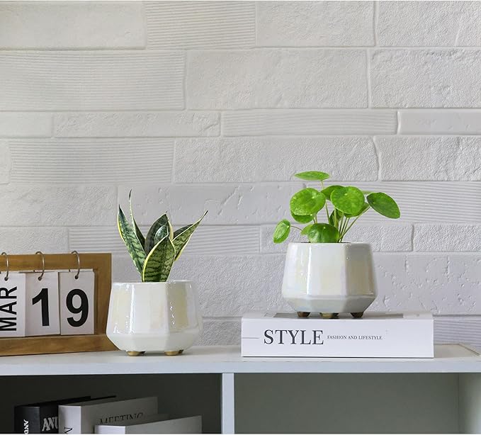 4 Inch Succulent Planter Ceramic Pot for Indoor Plants - Flower Pots with Drainage Hole - Set of 4