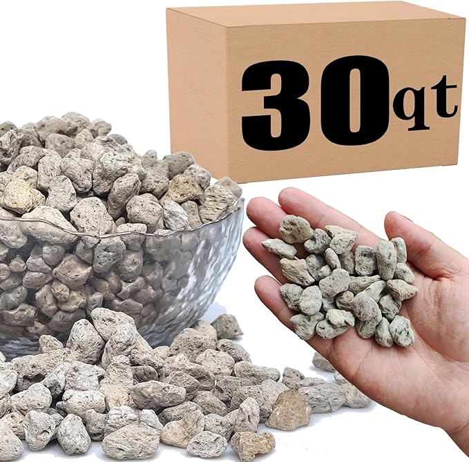 Horticultural Pumice for Plants Professional Sifted (30QT, 1/2 inch)