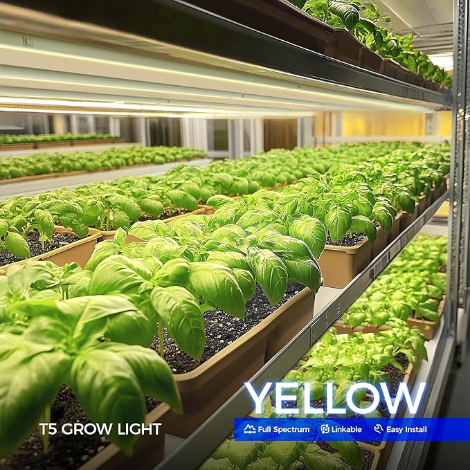 Barrina T5 Grow Lights for Indoor Plants, Full Spectrum, 4ft 160W (8 x 20W, 1000W Equivalent), Plant Growing Lamps, Plant Lights for Indoor Plants, Greenhouse, Plug and Play, Yellow 8-Pack