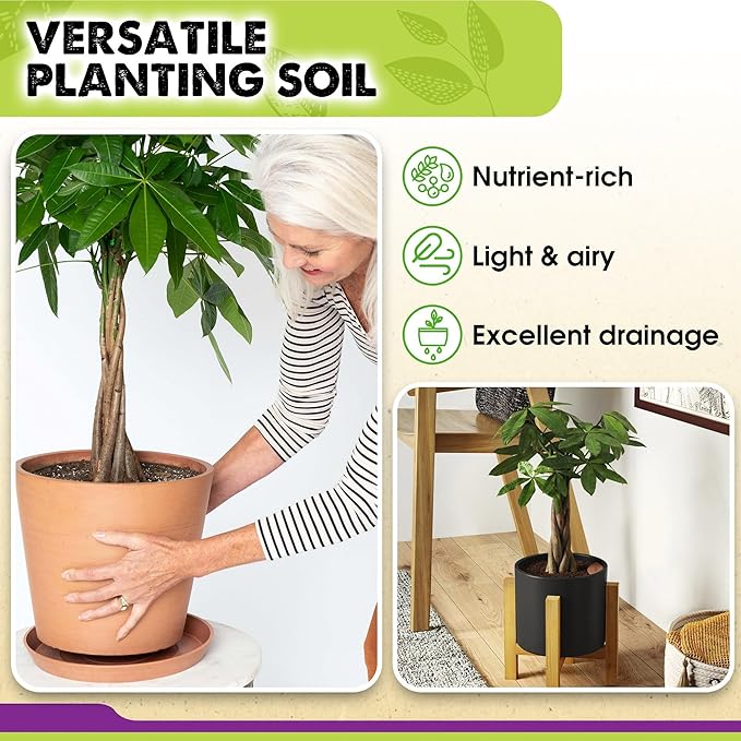DUSPRO Recycle Money Tree Soil, Premium Coco Coir Perlite Mix and Pine Bark for Money Tree Soil, Ideal Money Tree Soil for Healthy Growth and Nourishment (6 Quarts)