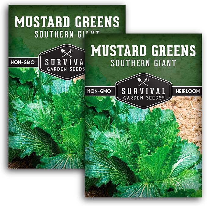 Survival Garden Seeds - Southern Giant Mustard Greens Seed for Planting - 2 Packets with Instructions to Grow Spicy Brassica Juncea Leaves in Your Home Vegetable Garden - Non-GMO Heirloom Variety