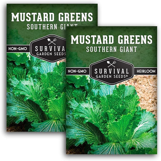 Survival Garden Seeds - Southern Giant Mustard Greens Seed for Planting - 2 Packets with Instructions to Grow Spicy Brassica Juncea Leaves in Your Home Vegetable Garden - Non-GMO Heirloom Variety