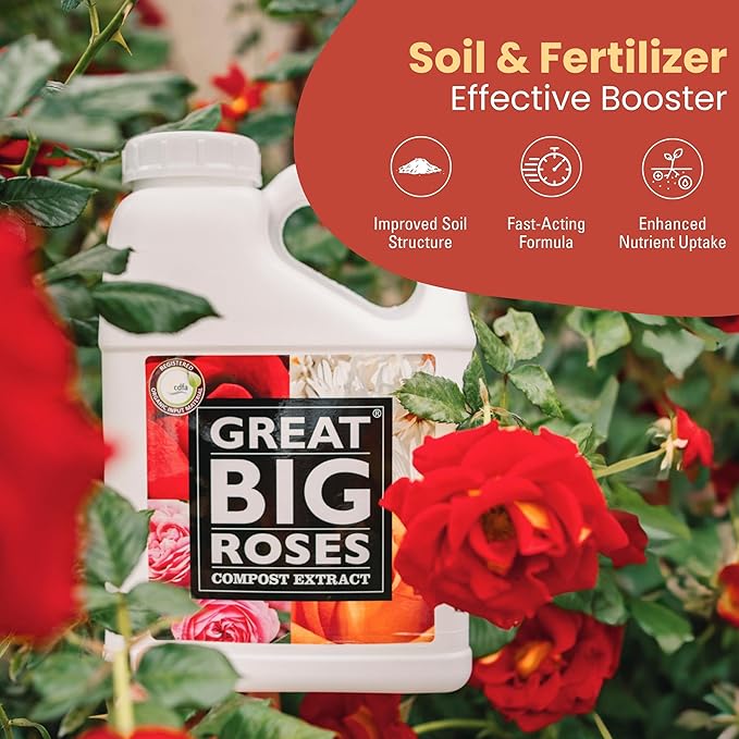Great Big Roses – Soil and Rose Fertilizer Booster to Grow The Best Roses and Flowers; Rose Food Compost Extract for Rose Bush, 2.5 Gallon Concentrate (Makes 80 Gallons)