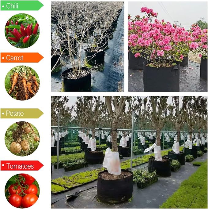 12 Pack Grow Bags 5 Gallon, 300G Heavy Duty Thickened Non-Woven Plant Bag Plant Fabric Pots with Handles Planting Bags, Pot for Plants