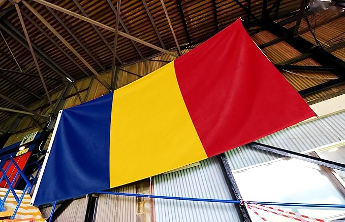 Romania Extra Large Flag 8x12FT Giant Romanian National Polyester Banner With 3 Grommets Fade Resistant Vivid Color For Patriotic Festival Events Party Decoration (Romania, 8x12FT)