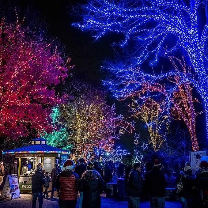 FUNPENY 164FT 500 LED Christmas Indoor Outdoor Decorative String Lights, 8 Modes Waterproof Plug in Green Wire LED Fairy Light for Christmas Party Wedding Garden Home Decoration (Blue)